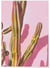 Poster nature Cactus 4 | A3 : 29,7x42cm