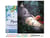 Peinture par Numéro Figured'Art avec Cadre - Souris et petite Fille - Kit de Loisir Créatif DIY Numéro d'Art - 40x50cm toile tendue sur châssis