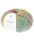 Pelote de laine à tricoter CREATIVE MELANGE CHUNKY - Rico Design 080 Fresh Spring