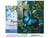 Peinture par Numéro Figured'Art avec Cadre - Papillon Morpho Bleu - Kit de Loisir Créatif DIY Numéro d'Art Complet - 40x50cm toile tendue sur châssis