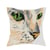 LUC - Kit coussin demi-point chat blanc