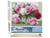 Peinture par Numéro Figured'Art - Jolies Pivoines épanouies - Kit de Loisir Créatif DIY Numéro d'Art Complet - 40x50cm toile roulée + châssis en bois à monter
