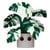 Legacy - Figurine POP! Super Sized Jumbo Flora Plants Monstera 25 cm - Funko
