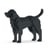 Chien Labrador Retriever noir Taille standard | JEKCA | 14 ans et +