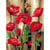 Princesse - Canevas Antique Coquelicot 50x65 cm