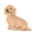 Chien Teckel qui tourne la tête crème Taille standard | JEKCA | 14 ans et +