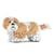 Chien Shih Tzu taches beiges Taille standard | JEKCA | 14 ans et +