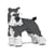 Chien Schnauzer Moyen qui tourne la tête gris et blanc Taille standard | JEKCA | 14 ans et +