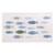 Motif de cire Poissons, bleu - vert clair, 8,5x5cm, 1 pce