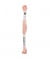 Fil à broder mouliné Uni - Rico Design 262 Rose