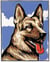 Kit canevas Berger Allemand 20x25cm