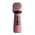 Microphone Bluetooth Sans Fil Avec Radio FM Et Son Stéréo 3D Puissant YONIS