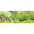 Princesse - Canevas Antique Printemps 30x65 cm