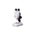1ST 20x Microscope optique