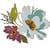 Gabarit de découpe pour machine Sizzix Tim Holtz - Fleurs coup de pinceau - 5 pièces