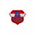 Lot de 3 écussons thermocollants blason sport 2,5cm x 3cm champions