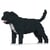 Chien Staffordshire Bull Terrier noir Taille standard | JEKCA | 14 ans et +