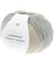 Pelote de Laine à Chaussettes Superba Cashmeri Luxury Socks 4 fils - 100g - Rico Design : Douceur et Luxe pour Vos Pieds 28 Flocon d'avoine