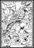 Tableau velours a colorier Perroquet Sericolor