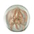 Presse papier capris bronze en verre 8 cm