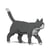 Chat Tuxedo gris | JEKCA | 14 ans et +