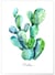 Poster Cactus aquarelle | A3 : 29,7x42cm