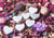 Puzzle 1500 pièces - Love - White Hearts - Grafika