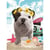 Puzzle chien teo jasmin california 500 pieces - collection photo d'art - nathan - 87239