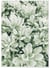 Poster nature Verte | A3 : 29,7x42cm