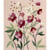 DMC - Canevas Penelope Imprimé Tapisserie Hellebores 30x35 cm