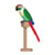Conure de Molina à tête marron | JEKCA | 14 ans et +
