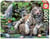puzzle 1000 pieces tigres blancs du bengale - Educa Borras - Rouge