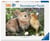 Puzzle 2D 500 pièces - Lapin et poussin - Collection bébés animaux - Ravensburger