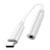 Avizar Adaptateur Audio USB-C vers Jack 3.5mm Son de Haute Qualité Compact Léger Blanc