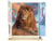 Peinture par Numéro Figured'Art - Le Repos du Lion - Kit de Loisir Créatif DIY Numéro d'Art Complet - 40x50cm toile roulée + châssis en bois à monter