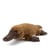 Peluche  Ornithorynque Marron - 22 cm