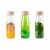 Lot de 3 bouteilles sensorielles, Life - Vie