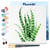 Mini Peinture par Numéro Figured'Art 20x20cm avec cadre Plante grasse - Petit Format