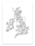 Affiche 30 x 40 cm - UK Ireland Walking Map - Alex Foster