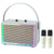 Enceinte Bluetooth Rétro Effet Lumineux Coloré Karaoke Double Microphone Cuir Gris YONIS