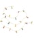 Guirlande Lumineuse Miniature de 50 cm – Éclairez Votre Décor avec Élégance - Rico Design