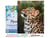 Peinture par Numéro Figured'Art avec Cadre - Leopard curieux - Kit de Loisir Créatif DIY Numéro d'Art Complet - 40x50cm toile tendue sur châssis