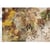 1 feuille de papier de riz 29,7 x 42 cm Itd Collection FEUILLE AUTOMNE 1141L