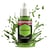 Peinture acrylique pour miniatures - THE ARMY PAINTER - Rainforest - 18 ml - Vert jaunâtre vif - Finition mate