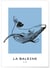 Affiche La baleine | A3 : 29,7x42cm