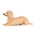 Chien Teckel couché crème Taille standard | JEKCA | 14 ans et +