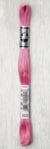 BRODER SPECIAL 1 ECH 32M