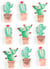 9 STICKERS CACTUS MEXICAIN EFFET 3D - 45