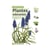 Miniguide 44 - Plantes odorantes