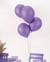 Ballon Ø 30cm - lot de 10 - violet